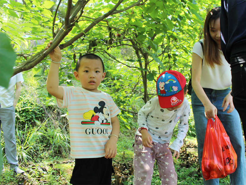 1590133065794896.jpg 9999.jpg