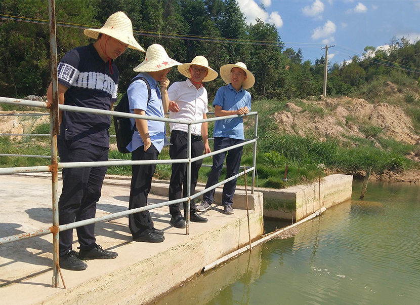 1597974663271793.jpg 1593768609400494.jpg