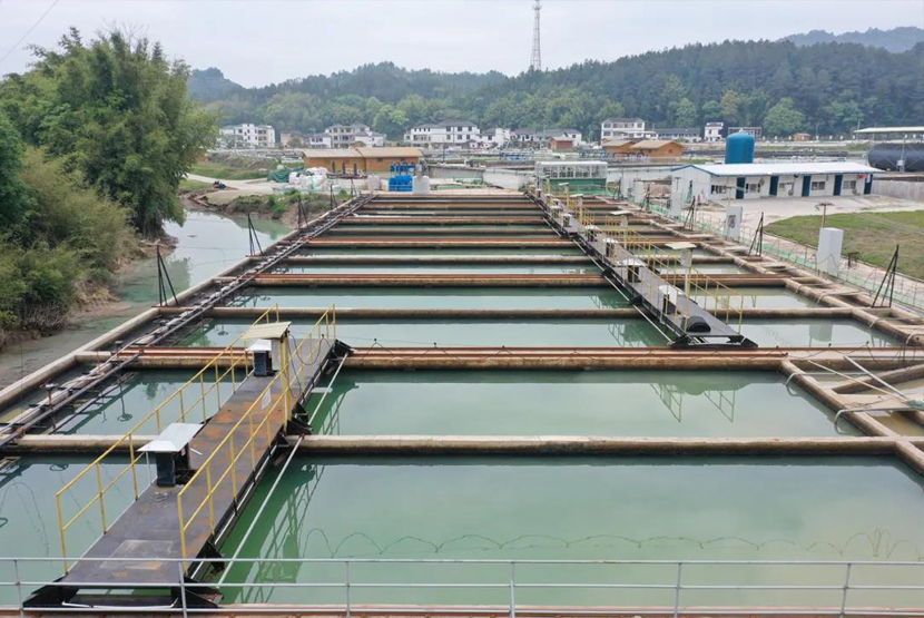 1597978775781980.jpg 1593768609400494.jpg