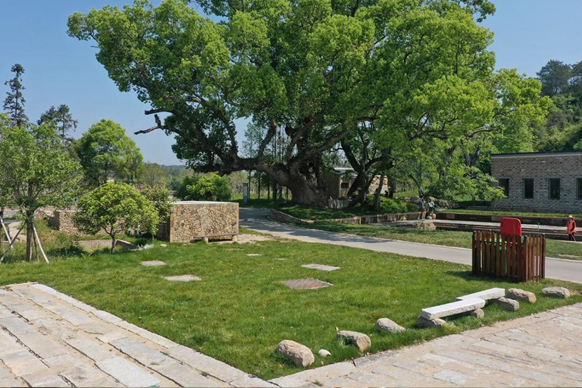 1605259325794546.jpg 1605162618973070.jpg