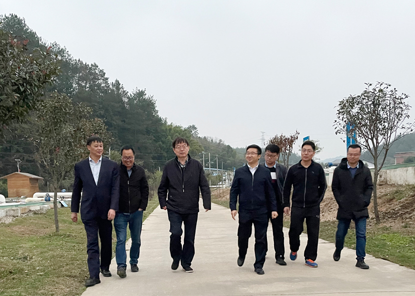 1609998538369116.jpg 1607325467309012.jpg