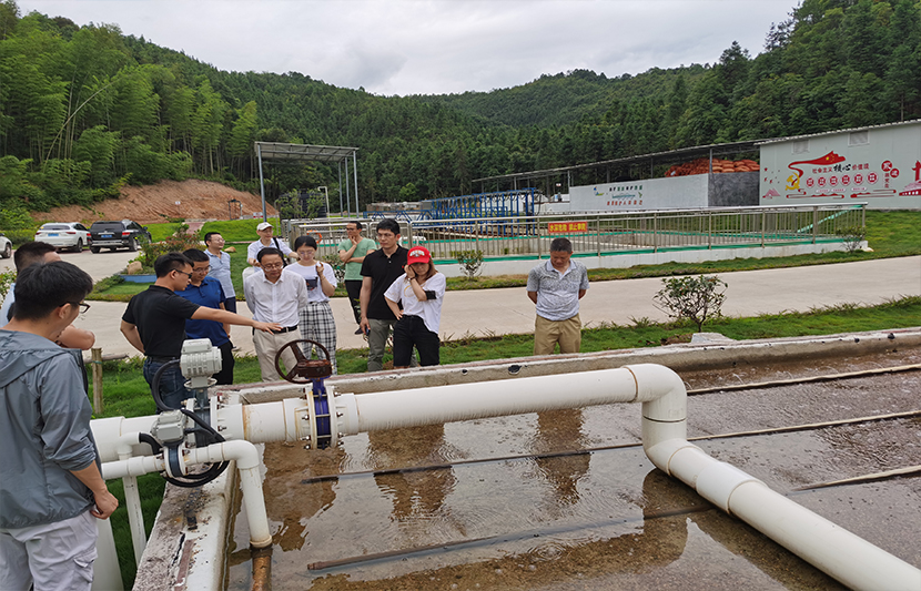 1623654427317187.jpg 5.jpg