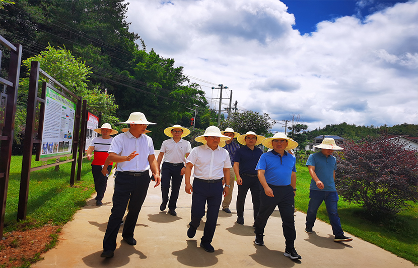 1623655016124396.jpg 3.jpg