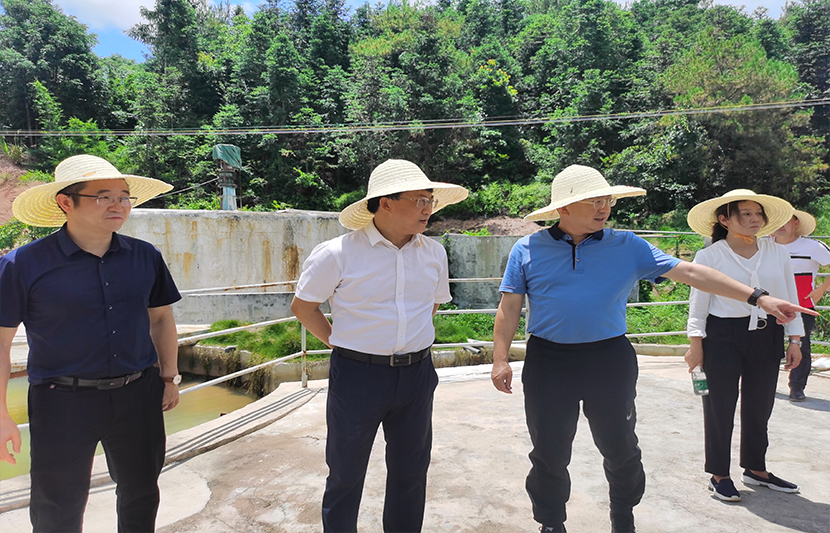 1623655050150180.jpg 5.jpg