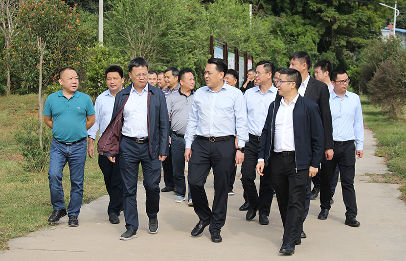 1634883032657645.jpg 3.jpg