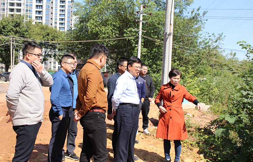 1636593240268432.jpg 2.jpg