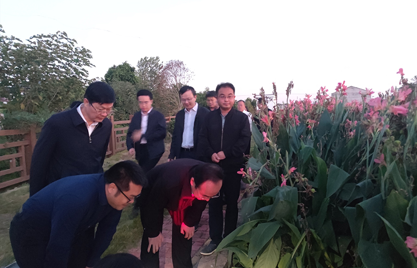 1665709570615759.jpg 2.jpg